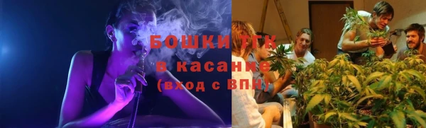 трава Горно-Алтайск