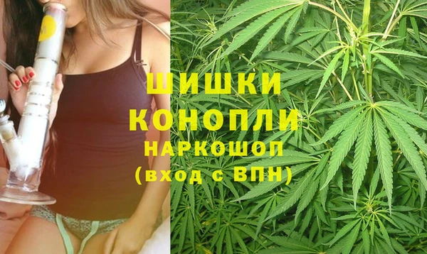 трава Горно-Алтайск
