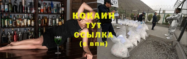 трава Горно-Алтайск
