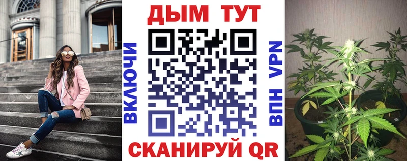 Конопля марихуана omg tor Новомосковск